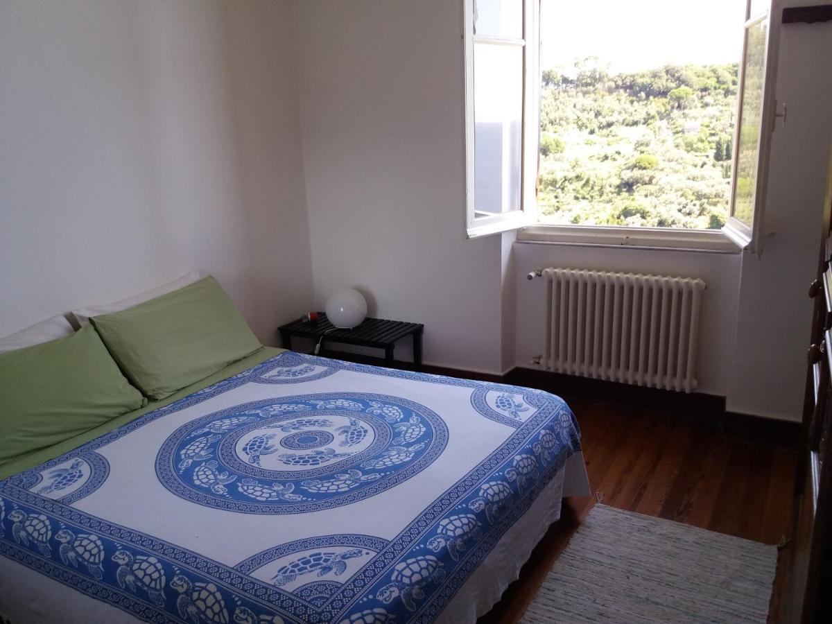 Bed & Breakfast Trekking In Paradise