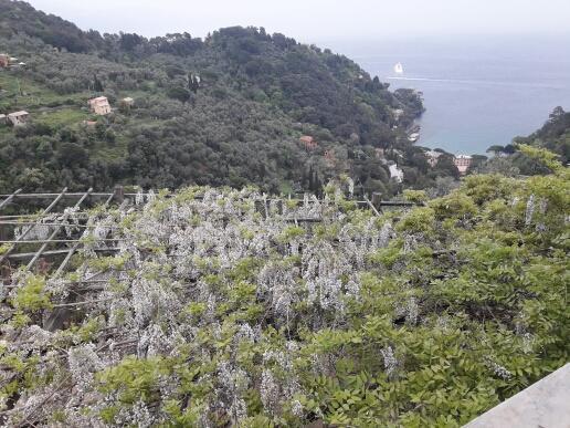 Trekking In Paradise Santa Margherita Ligure