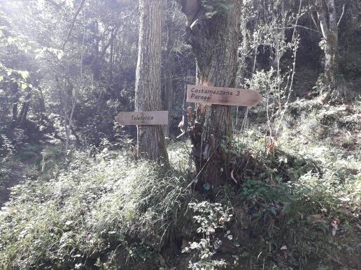 Trekking In Paradise