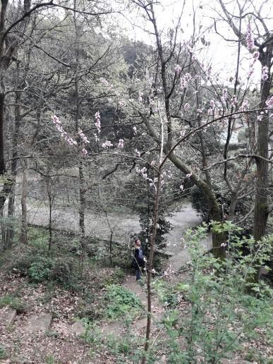 Trekking In Paradise * Santa Margherita Ligure