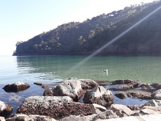 Trekking In Paradise Bed & Breakfast Santa Margherita Ligure