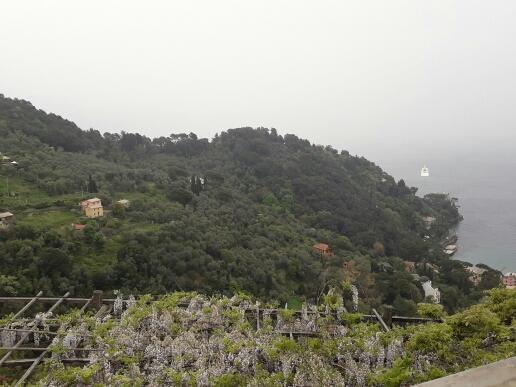 Bed & Breakfast Trekking In Paradise *