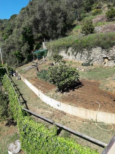 Trekking In Paradise Bed & Breakfast Santa Margherita Ligure